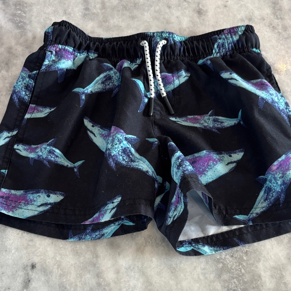 Art Class Swim Trunks